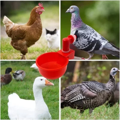 10 Pcs Automatic Poultry Drinker Bowl Chicken Bird Water Cups Duck Drinking Machine Hanging Drinking Bowls Water Dispenser