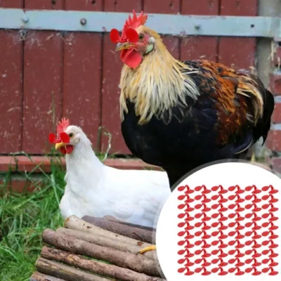60 Pieces Pinless Chicken Anti-Pecking Eyes Glasses With Bolt Durable Chicken Hen Rooster Equipment Supplies Poultry Spectacles