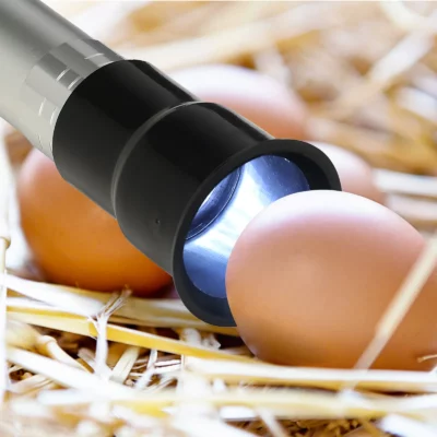 Egg Light Candler Incubator Incubation Lamp Tester Candling Eggs Quail Chicken Hatching Flashlight Poultry Led Incubators