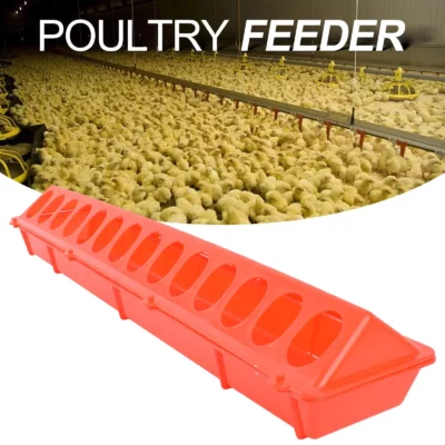 Plastic Flip Top Poultry Feeder Birds feed Long Trough Water Bowl Farming Tool Box for Peacock Pheasants Cockatiels Chick Pigeon - 이미지 2