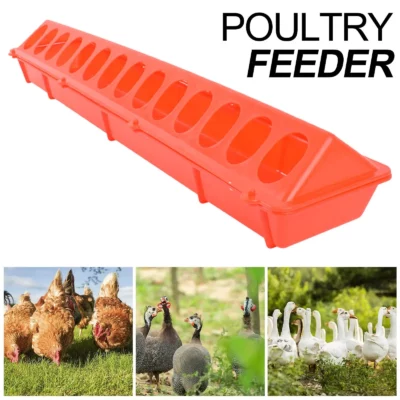 Plastic Flip Top Poultry Feeder Birds feed Long Trough Water Bowl Farming Tool Box for Peacock Pheasants Cockatiels Chick Pigeon - 이미지 3