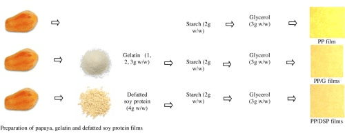 The PawPaw/Papaya Ovary: Economic Importance, Uses, and By-Products