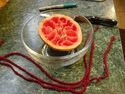 The Grapefruit Nodes: Economic Importance, Uses, and By-Products