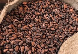 The Cocoa/Cacao Filaments: Economic Importance, Uses, and By-Products
