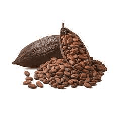 The Cocoa/Cacao Pistils: Economic Importance, Uses, and By-Products