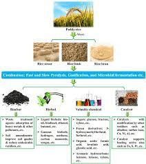 The Rice Internodes: Economic Importance, Uses, and By-Products The Rice Internodes: Economic Importance, Uses, and By-Products