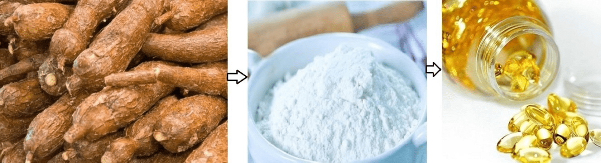 The Cassava Capsules: Economic Importance, Uses, and By-Products ...