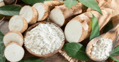 The Cassava Capsules: Economic Importance, Uses, and By-Products