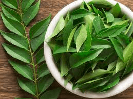 The Curry Leaves: Economic Importance, Uses, and By-Products