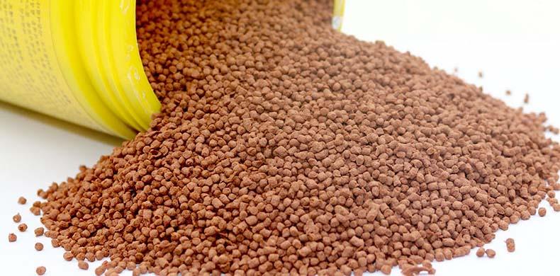 Niveaux d'alimentation des poissons-chats à une température de l'eau de 25 à 26 °C