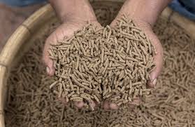 The Best Between Local Catfish Feed and Foreign Feed