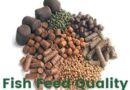 Advantages of Imported Catfish Feeds over Local Feeds