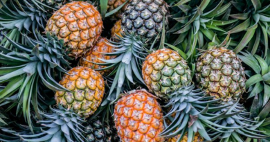 The Secrets of Sweet Pineapple: From Juicy Delights to Symbolic Meanings