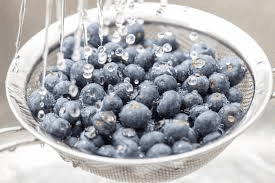How to Store Blueberries How to Store Blueberries