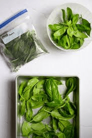 How to Store Fresh Basil 