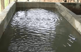 Importance of a Fish Net on a Concrete Pond