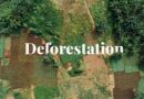 Ways of Tackling Deforestation Problems