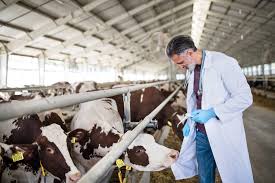 Complete Guide on Treatment of Livestock Diseases