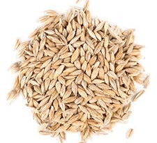 Barley Seeds: Economic Importance, Uses, and By-Products