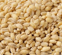 Barley Seeds: Economic Importance, Uses, and By-Products