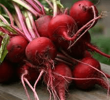 The Beet Tubers: Economic Importance, Uses, and By-Products