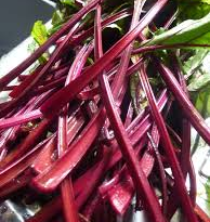 The Beet Peduncle: Economic Importance, Uses, and By-Products