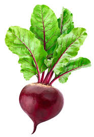 The Beet Fruits: Economic Importance, Uses, and By-Products