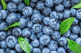 The Blueberry Fruits: Economic Importance, Uses, and By-Products