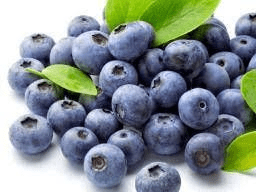 The Blueberry Fruits: Economic Importance, Uses, and By-Products