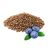 The Blueberry Seeds: Economic Importance, Uses, and By-Products