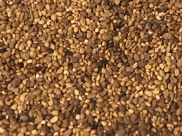 The Blueberry Seeds: Economic Importance, Uses, and By-Products