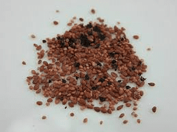 The Blueberry Seeds: Economic Importance, Uses, and By-Products