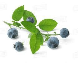 The Blueberry Peduncle: Economic Importance, Uses, and By-Products