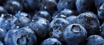 The Blueberry Calyx: Economic Importance, Uses, and By-Products The Blueberry Calyx: Economic Importance, Uses, and By-Products