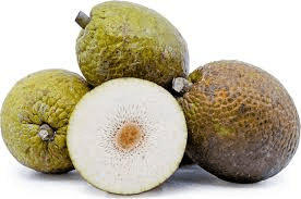 The Breadfruit Fruits: Economic Importance, Uses, and By-Products