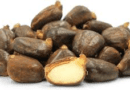 The Breadfruit Seeds: Economic Importance, Uses, and By-Products