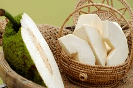 The Breadfruit Flesh: Economic Importance, Uses, and By-Products