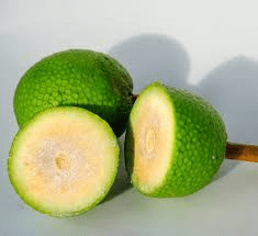The Breadfruit Flesh: Economic Importance, Uses, and By-Products