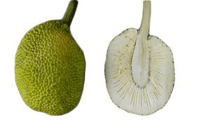 The Breadfruit Flesh: Economic Importance, Uses, and By-Products