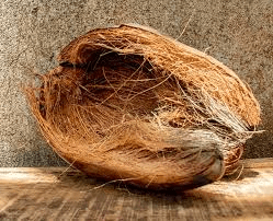 The Coconut Husk: Economic Importance, Uses, and By-Products