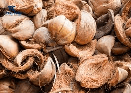 The Coconut Husk: Economic Importance, Uses, and By-Products