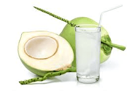 The Coconut Water: Economic Importance, Uses, and By-Products