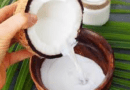 The Coconut Milk: Economic Importance, Uses, and By-Products
