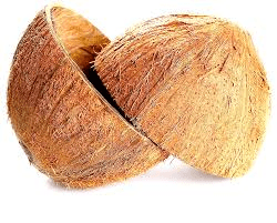 The Coconut Shell (Kernel): Economic Importance, Uses, and By-Products