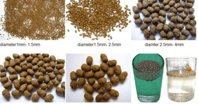 Importance of Pelletizing your own Fish Feed