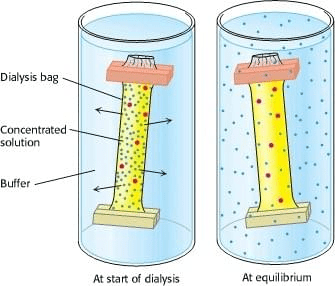 Determination, Preparation and Purification of Enzymes