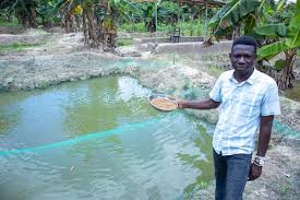 Factors to Consider Before Starting a Fish Farming Business