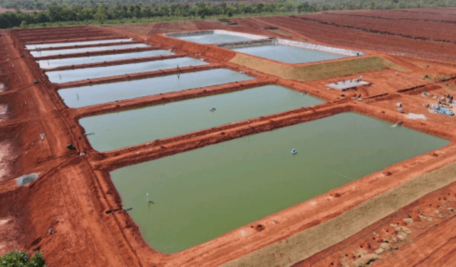 Fresh Fish Farming Factors to Consider when Selecting your Fish Farming Site - Agric4Profits