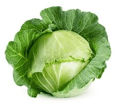 The Cabbage Head: Economic Importance, Uses, and By-Products
