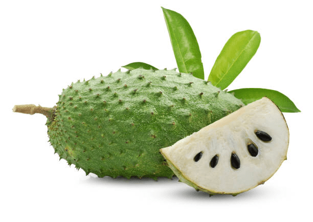 The 15 Health Benefits of Sour-sop Including Its Power to Cure Diabetics